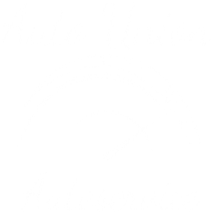 Auto Union Logo